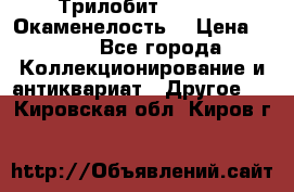 Трилобит Asaphus. Окаменелость. › Цена ­ 300 - Все города Коллекционирование и антиквариат » Другое   . Кировская обл.,Киров г.